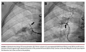 Steinberg - Figure 3