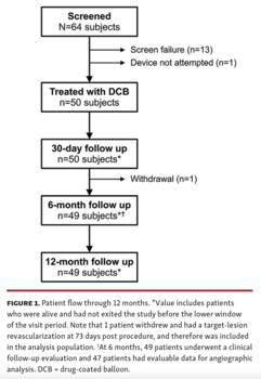  Paclitaxel DCB 12-Month PREVAIL Study Results Figure 1