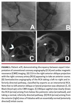 Al-Mubarek - Figure 1