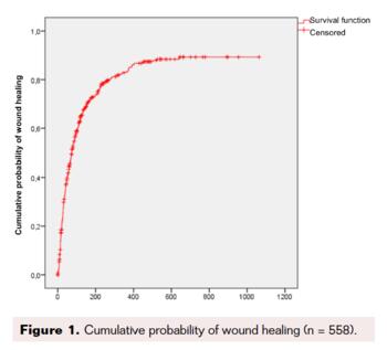 Toe-Flow Model Implementation in the Vascular Surgery Department Fig1