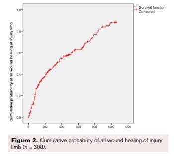 Toe-Flow Model Implementation in the Vascular Surgery Department Fig2