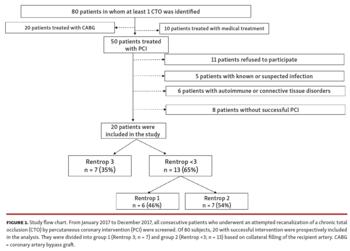 Endothelial Progenitor Cell Function in Coronary CTO Patients Fig 1