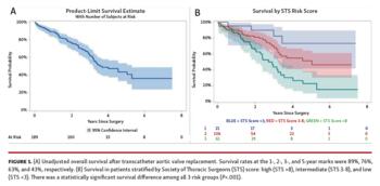 Graphs showing unadjusted overall survival after transcatheter aortic valve replacement.