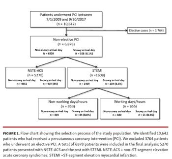 Flow chart showing the selection process of the study population. 