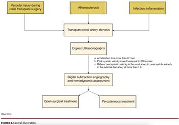 Singh Renal Artery Figure 2