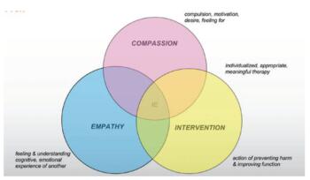 Empathy, compassion, and intervention 