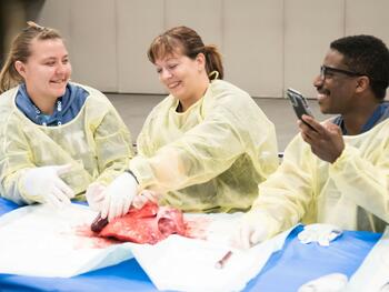 Hands-on learning experiences complemented traditional presentations, and live-streamed sessions welcomed remote audiences worldwide. 