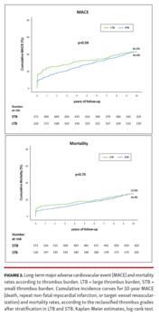 Long-term major adverse cardiovacular event (MACE) and mortality rates according to thrombus burden.