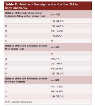 Table 2. Relation to bony landmarks