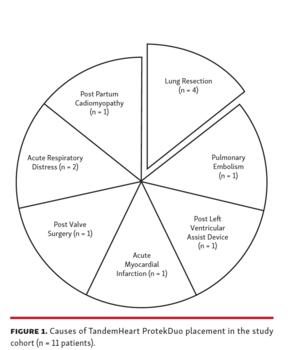 FIGURE 1. Causes of TandemHeart ProtekDuo placement in the study cohort (n = 11 patients).