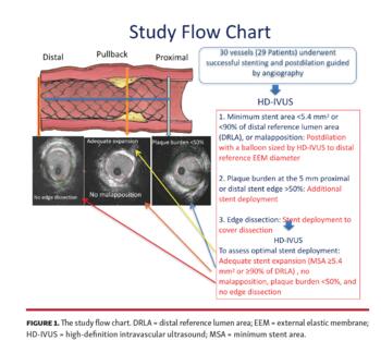 The study flow chart.