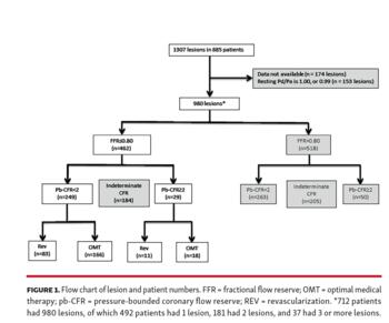 Flow chart of lesion and patient numbers.
