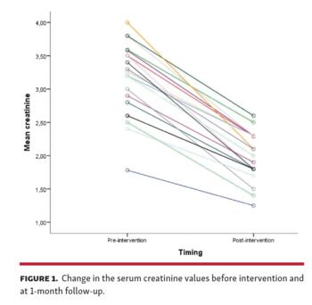Change in the serum creatinine values before intervention and at 1-month follow-up.
