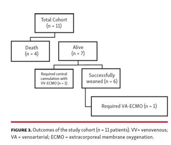 FIGURE 3. Outcomes of the study cohort (n = 11 patients). VV= venovenous; VA = venoarterial; ECMO = extracorporeal membrane oxygenation.