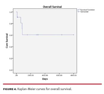 FIGURE 4. Kaplan-Meier curves for overall survival.