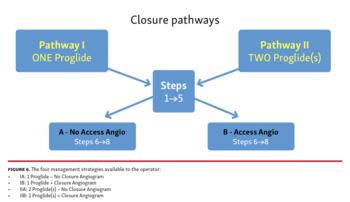 Figure 6. The four management strategies available to the operator: