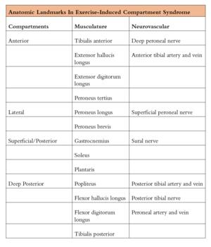 The author shares that it is important for clinicians to have a complete understanding of the relevant anatomy and what structures can exhibit symptoms when a patient has exercise-induced compartment syndrome.
