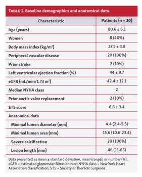 Baseline demographics and anatomical data.