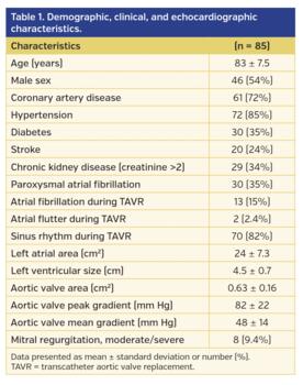 Table 1. Demographic, clinical, and echocardiographic characteristics.