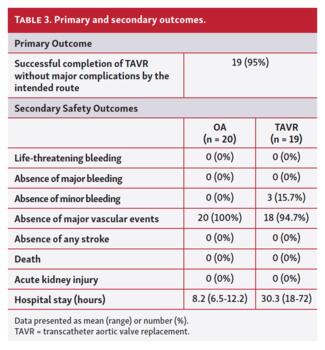 Primary and secondary outcomes.