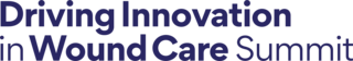 WCCC Driving Innovation in Wound Care logo